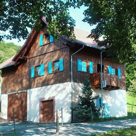 Апартаменты Ziegelhof Schuttertal Экстерьер фото